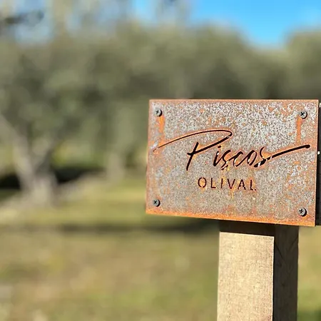 בית כפרי Quinta Dos Piscos *