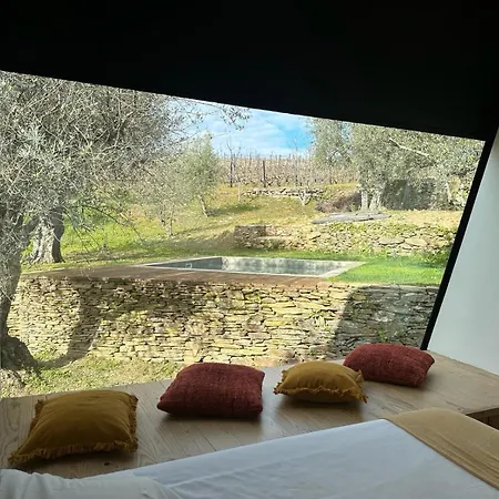 בית כפרי Quinta Dos Piscos