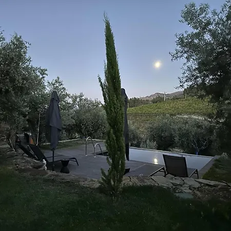 Quinta Dos Piscos Летний дом Barcos