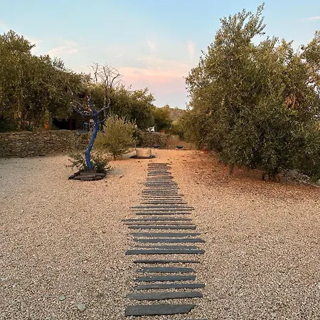 Quinta Dos Piscos Barcos