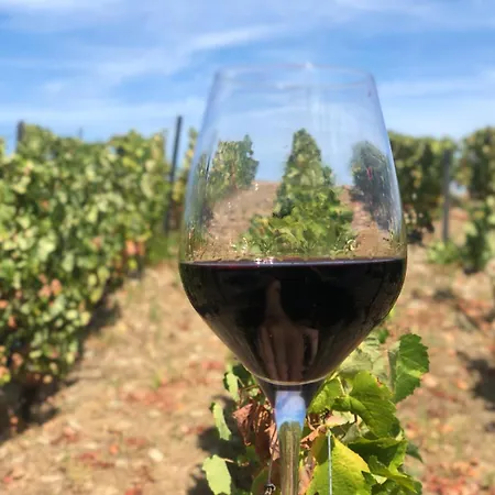 Quinta Dos Piscos בית כפרי *