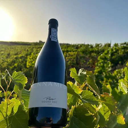 בית כפרי Quinta Dos Piscos Barcos