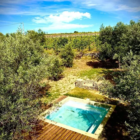 Quinta Dos Piscos * Barcos