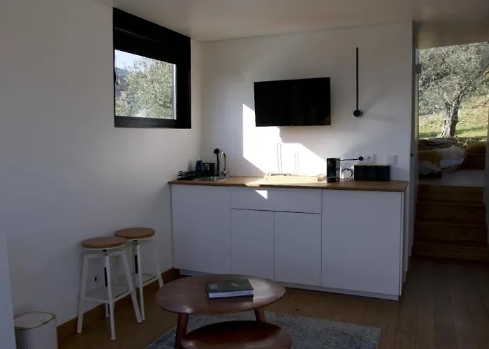 Quinta Dos Piscos * Barcos