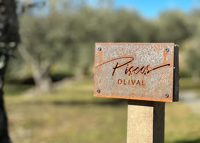 Venkovský dům Quinta Dos Piscos *