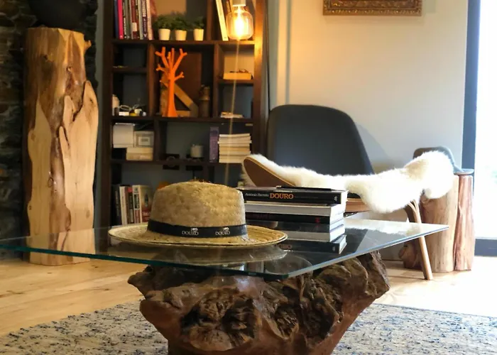 Quinta Dos Piscos Venkovský dům Barcos