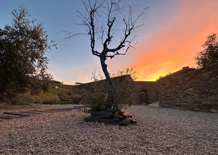 Quinta Dos Piscos Lantställe *