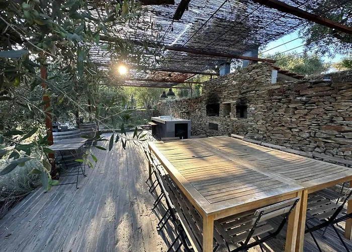 Quinta Dos Piscos * Barcos