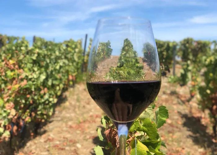 Quinta Dos Piscos Lantställe *