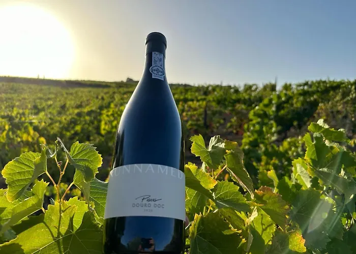 Lantställe Quinta Dos Piscos Barcos