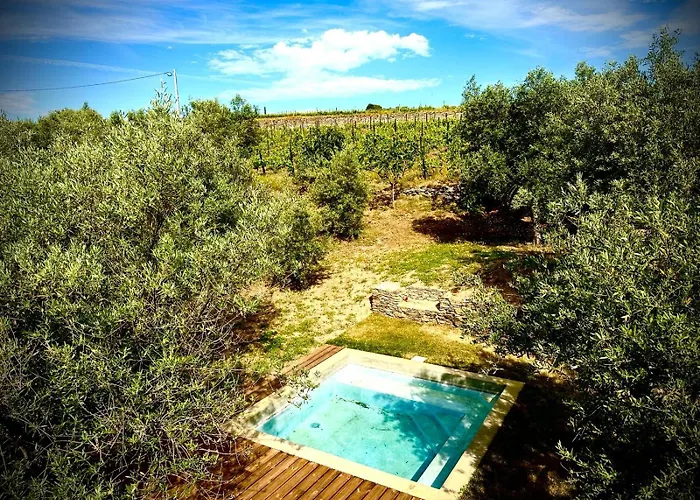 Quinta Dos Piscos * Barcos